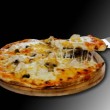 WORLD PİZZA